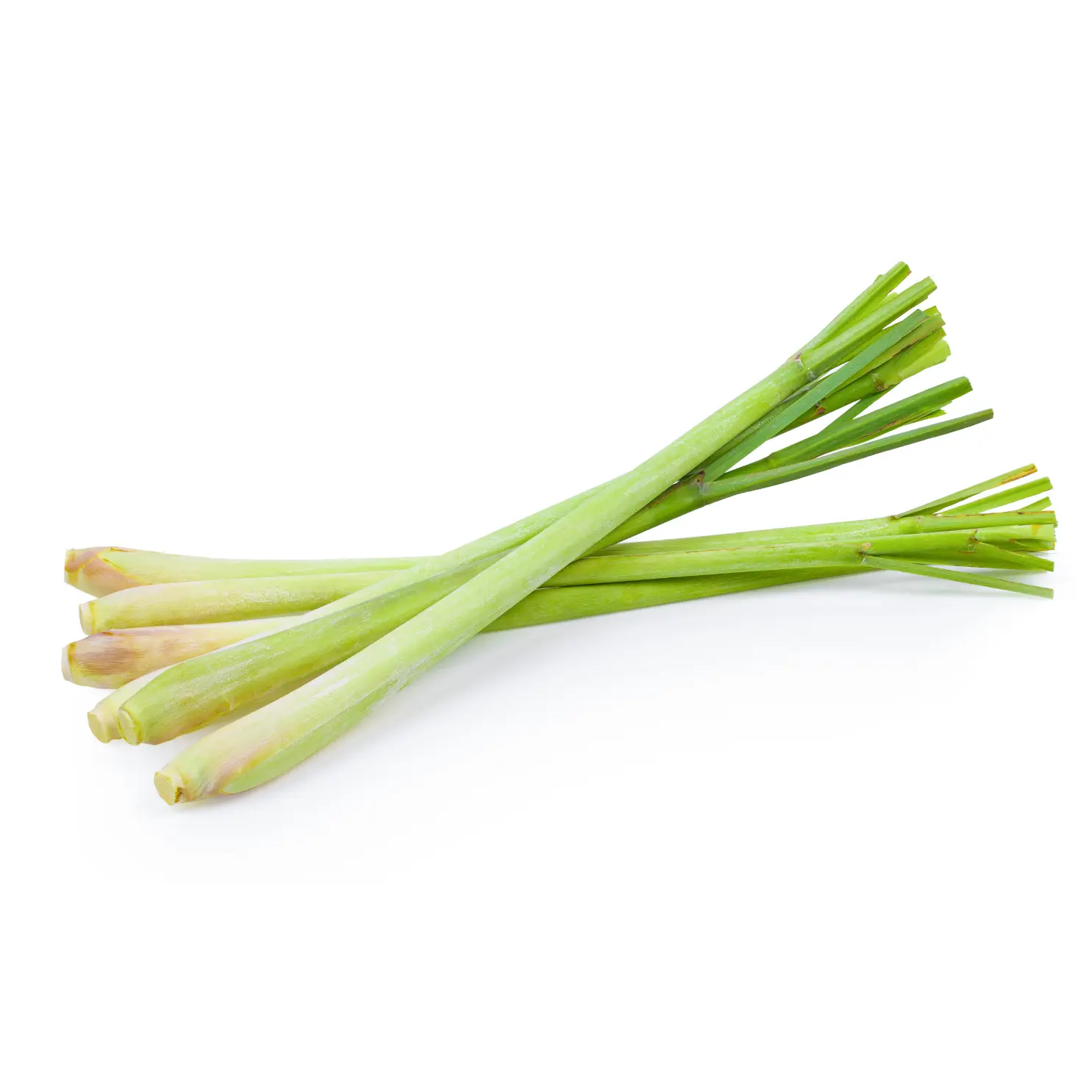 citronnelle