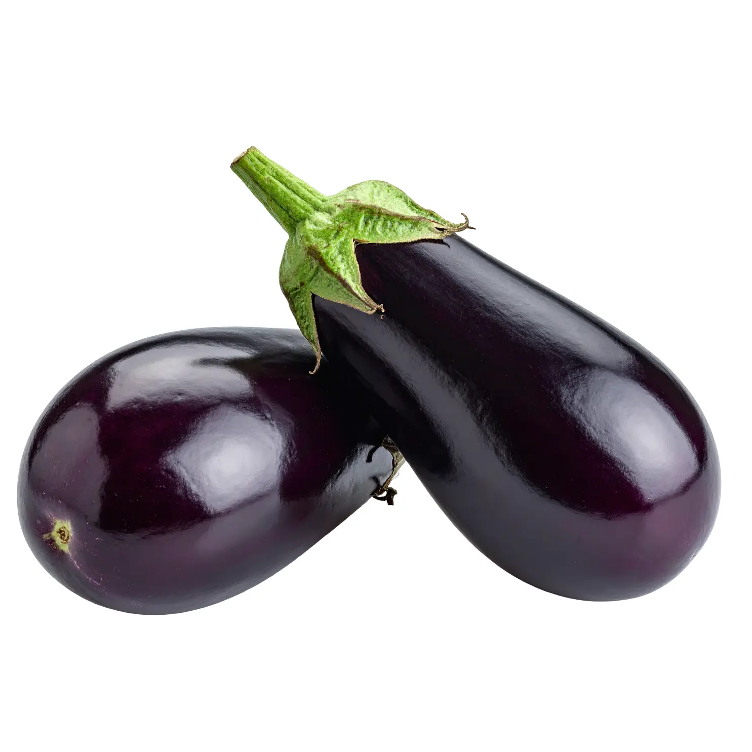 Aubergine