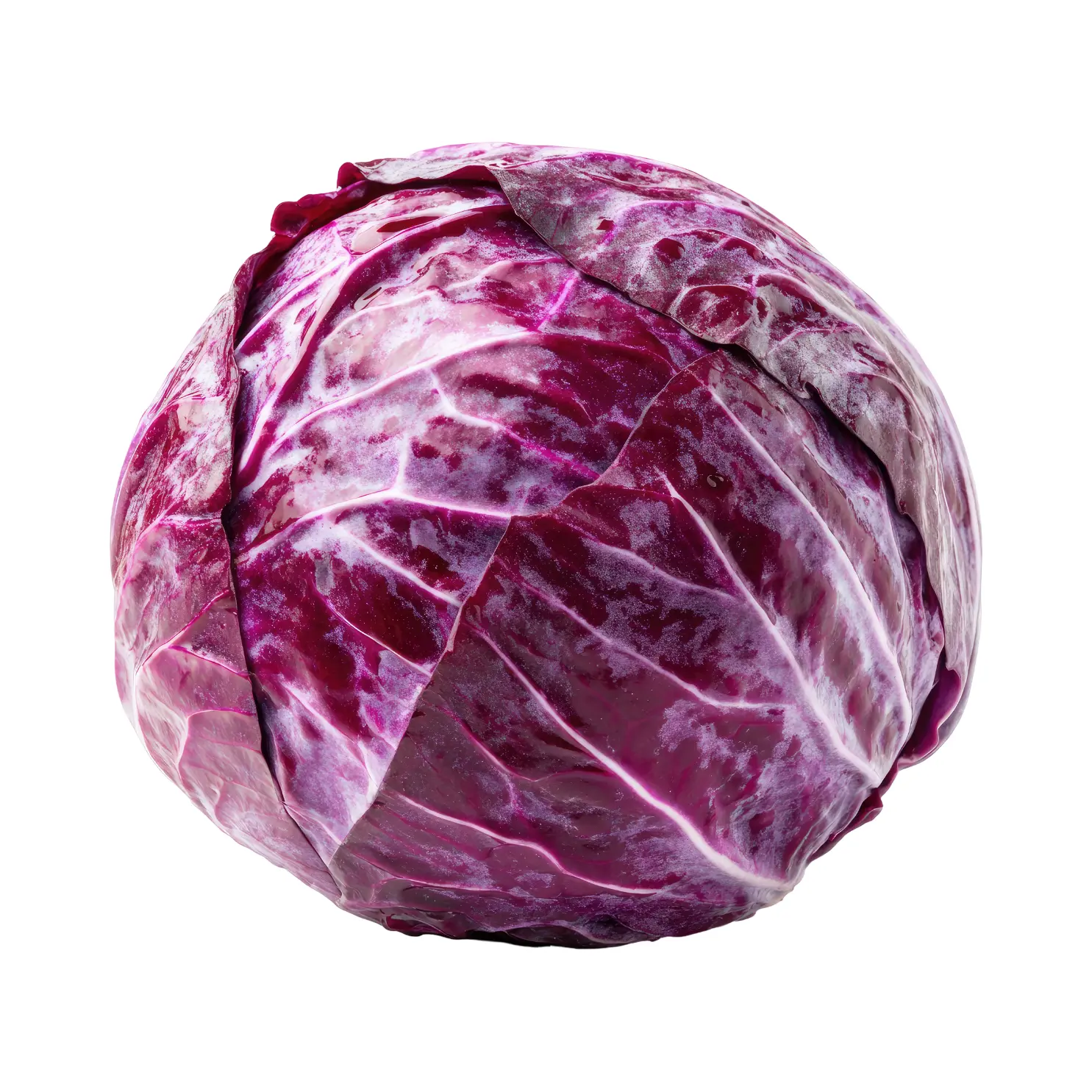 Chou violet