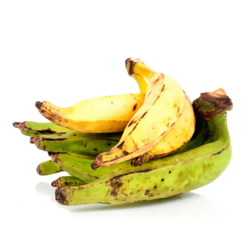 Alloco