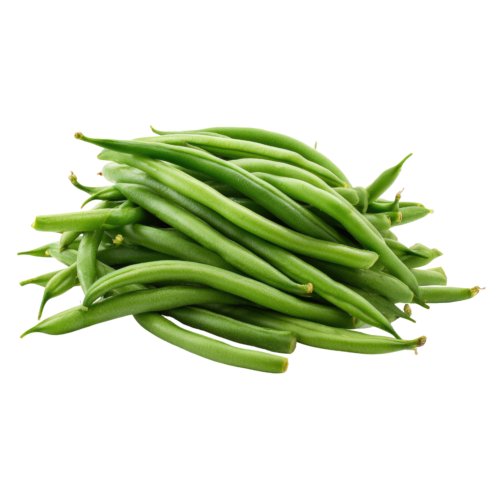 Haricot vert