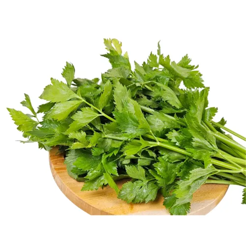 Céléri