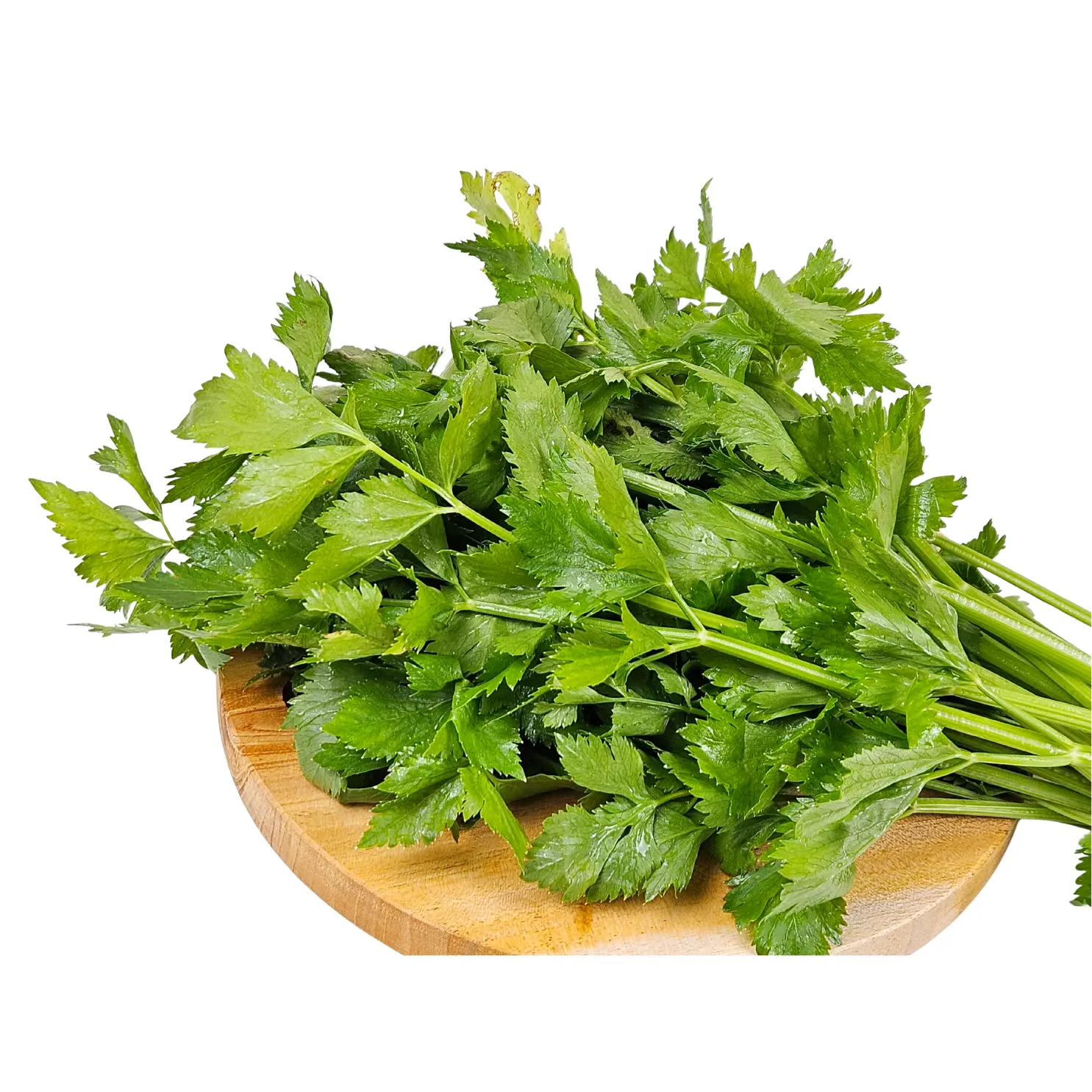 Céléri