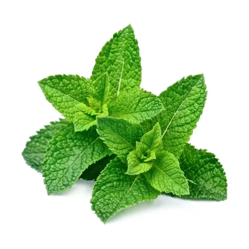 menthe